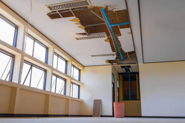 Best Water damage repair service  in Wildwood Crest, NJ