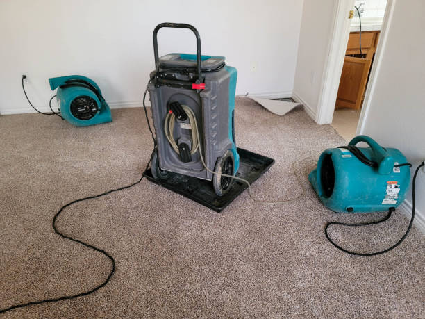 Best Residential water damage restoration  in Wildwood Crest, NJ