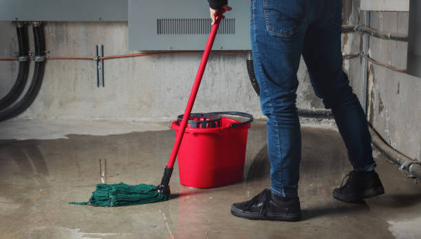 Best 24/7 water damage repair  in Wildwood Crest, NJ