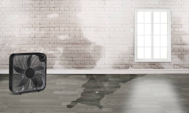 Best Fire Damage Restoration  in Wildwood Crest, NJ