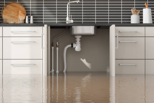 Best Water damage contractors near me  in Wildwood Crest, NJ